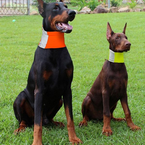 Hundehalsbänder, reflektierendes Halsband, fluoreszierender Haustierschal mit Loch für die Leine, leuchtendes Welpen-Nacht-Sicherheitslätzchen für kleine, mittelgroße und große Hunde