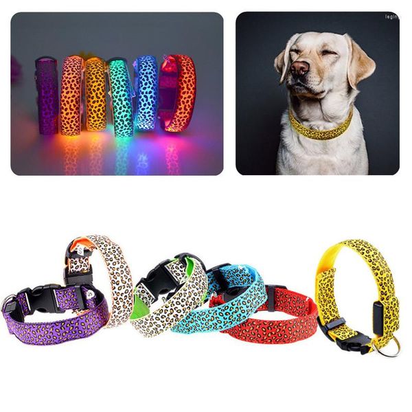 Hundehalsbänder, verstellbar, LED, Heimtierbedarf, Nylon, Welpen-Leopardenhalsband, Gürtel, Outdoor, Nacht, Sicherheit, leuchtendes Leuchten, Haustiere, Katze