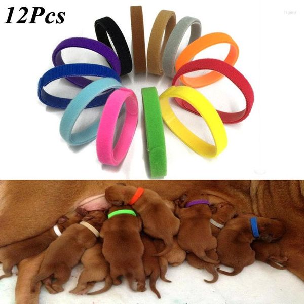 Coleiras para cães 2023 12 pçs/conjunto filhote de cachorro nascido animais de estimação identificar ajustável nylon pequeno colar de gatinho de estimação filhote de cachorro