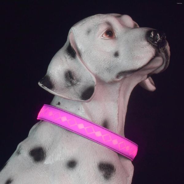Hundehalsbänder Verkauf von Haustieren Neueste Produkte Leuchtendes Halsband mit LED, 8 Farbwechsel, 15 Modelle, regensicherer Blitz