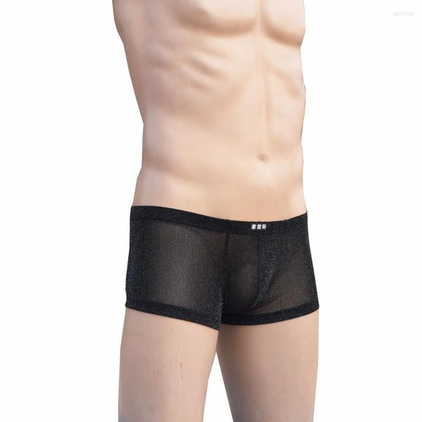 Mutande 1 pz Marca HOWE RAY Intimo sexy da uomo Ultra-sottile Uomo Gay Trasparente Grenadine Boxer Mutandine di nylon