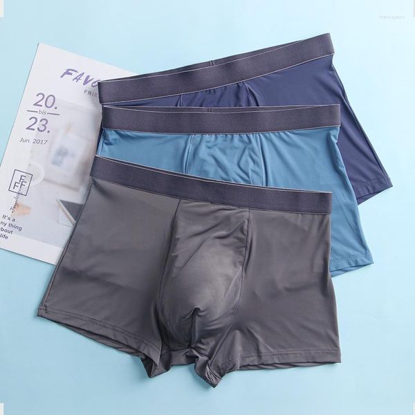 UNDANTANT ERKEK BOWEAR BOXERS NEFREBLİ NYLON ŞORTLARI SONRA 3 PCS