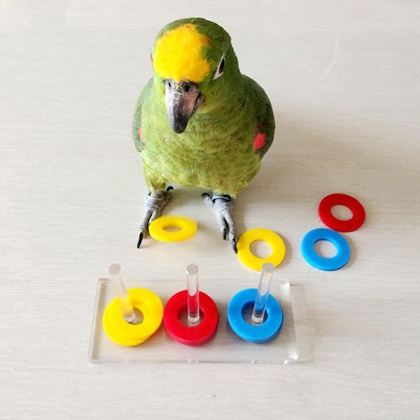 Другие птицы поставляют акриловые инструменты обучения попугай