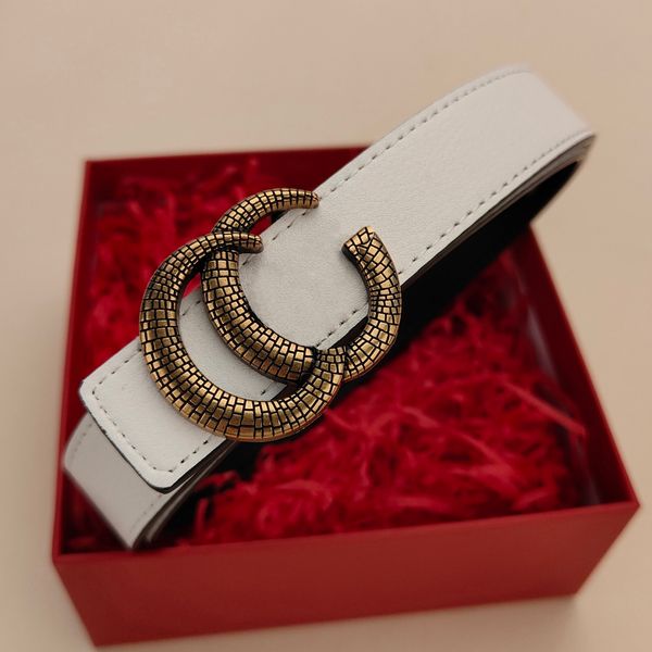 Cintura di design Cinture di lusso per donna e uomo Design unico della testa della fibbia della cintura Molteplici opzioni di colore Larghezza 2,5 cm Moda classica