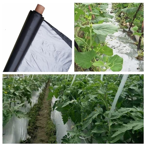 Outras ferramentas de jardim 50m 0 012mm Orchard Tree Tree Silver Black Plástico Filme de Greenhouse Reflexivo Controle de Prateado Mulch Black 230710