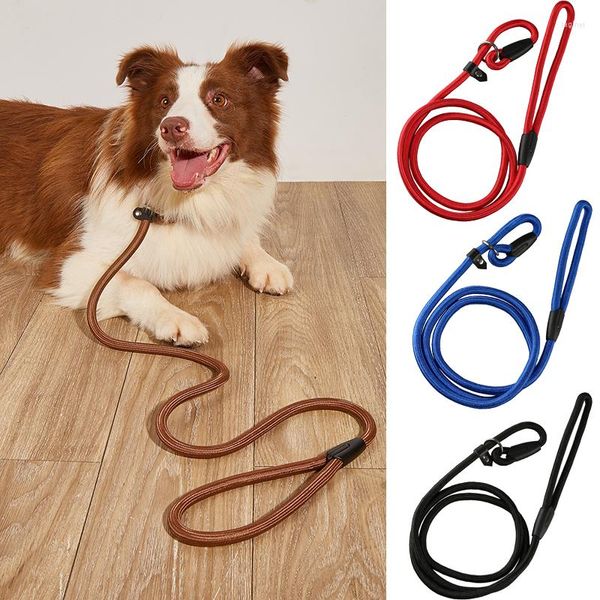 Collari per cani Guinzaglio da addestramento in nylon P Catena Forniture per passeggiate all'aperto per animali domestici per cani di taglia piccola e media Border Collie Cucciolo di Golden Retriever