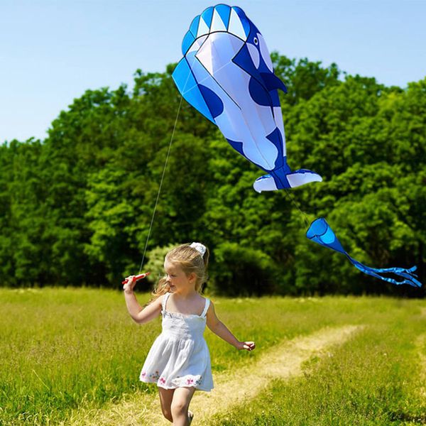 Drachenzubehör, großer weicher Drachen, Delfin-Nylonschnur, animierte Drachen, fliegende aufblasbare Rolle, Outdoor-Spaßspielzeug, Parafoil 230711