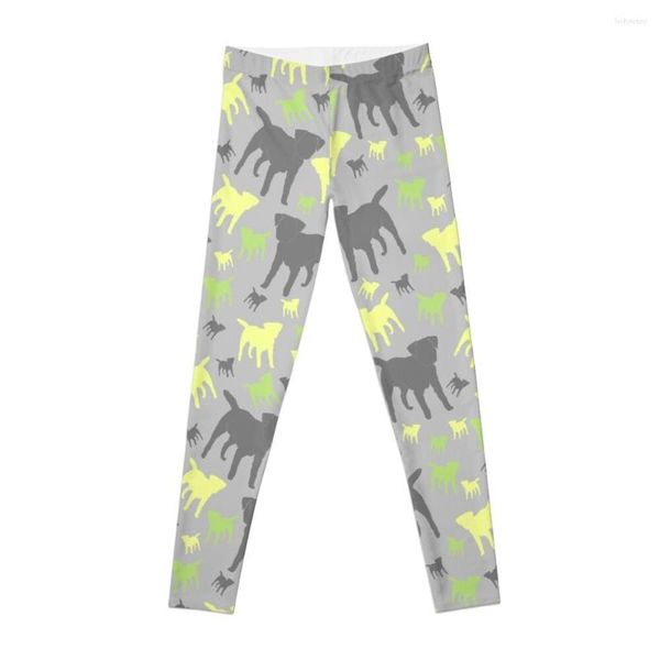 Calça Active Border Terrier Presentes para Amantes de Cachorros Cinza Amarelo Verde Silhueta Leggings Ioga Vestuário