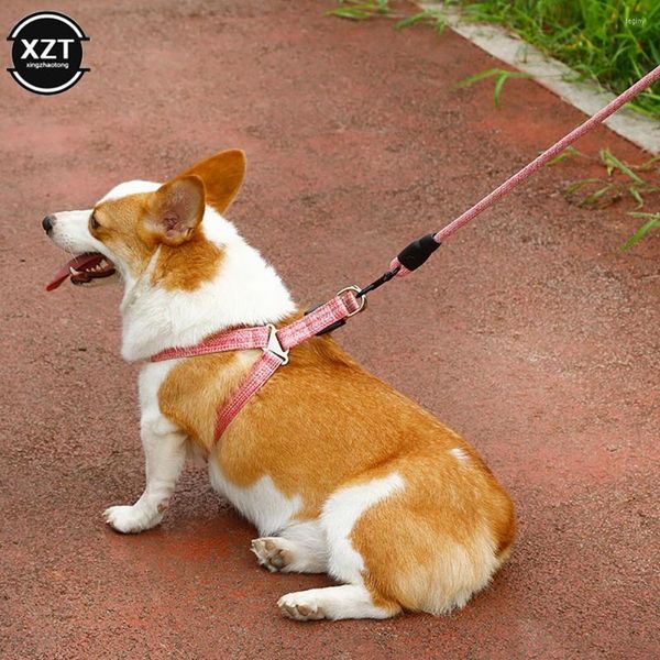 Collari per cani Corda regolabile Guinzaglio Accessori per animali domestici Merci per animali domestici Imbracatura Chihuahua Tattico Coisas Para Cachorro Cintura per cani