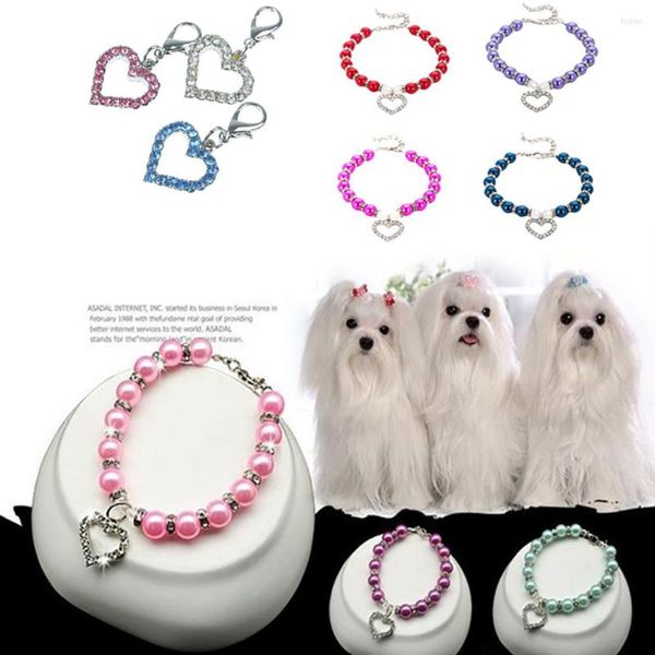 Collari per cani Shinny Mutil Colors Bead Fancy Collare per animali domestici Diamante strass Ciondolo Perle Gioielli collana gatto di cristallo