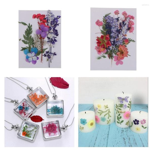 Dekorative Blumen in verschiedenen gemischten Farben, getrocknet, für Harzguss, Füllmaterial, Kartenherstellung, Scrapbook-Verzierungen, DIY-Bastelbedarf, Heimdekoration