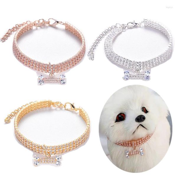 Collari per cani Collare per gatti con osso carino Collana con intarsio di strass Accessori per gioielli elastici di colore misto per animali domestici