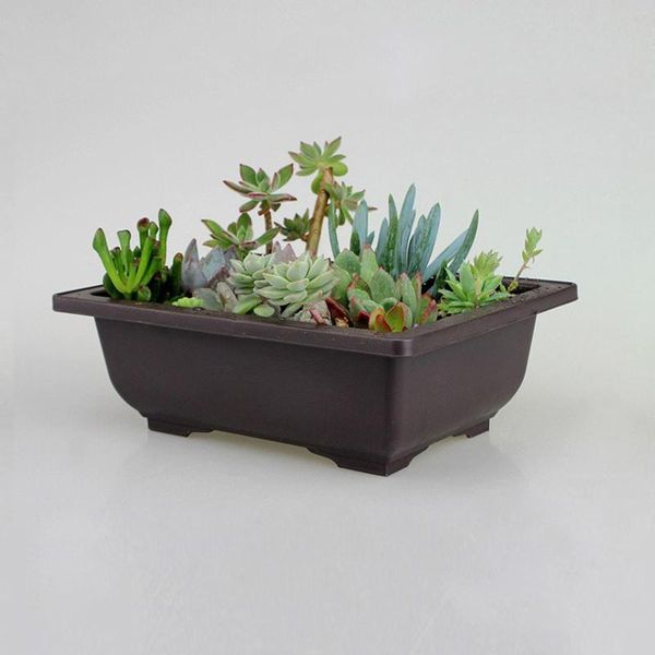 Fiori decorativi Imitazione viola sabbia Vaso da fiori antico in plastica marrone scuro Adatto per piccoli bonsai in vaso succulenti