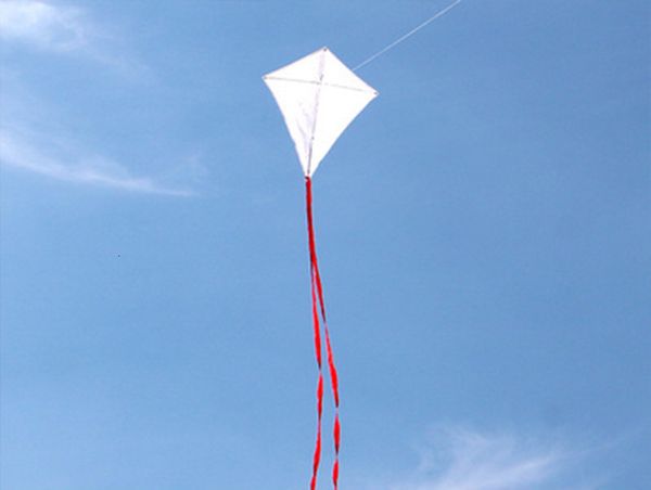 Acessórios para pipa 10pcs/lote Kites Kites Blank Kites Diy Kite ensinando pintura Linha de pipa Toys ao ar livre Fábrica de Kite Albatross 230712