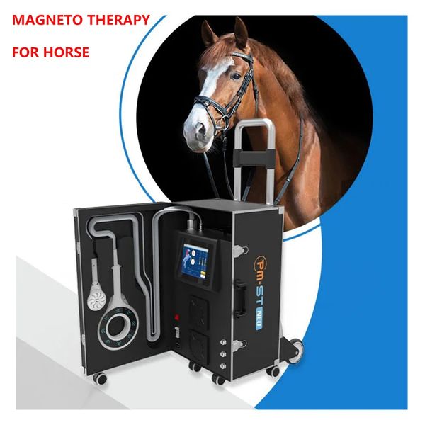 Terapia magnética eqüina do laço PEMF para a máquina do tratamento do abcesso do casco dos cavalos
