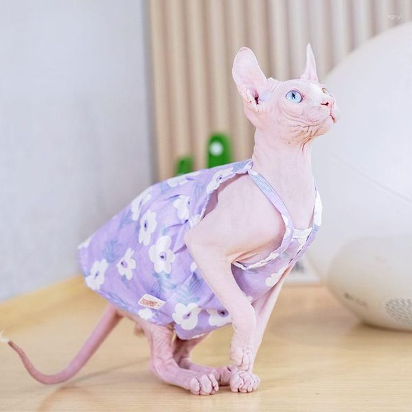 Костюмы для кошек сфинкс платье летняя кружевная валотная ватная юбка для котят безволосы