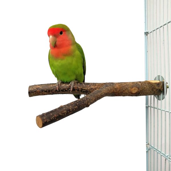 Papağan ayakta ağaç şubesi kuş kafes oyuncakları Cockatiel Parrot levrek standı Parrot Ahşap Çatal Raf Pet Tedarik