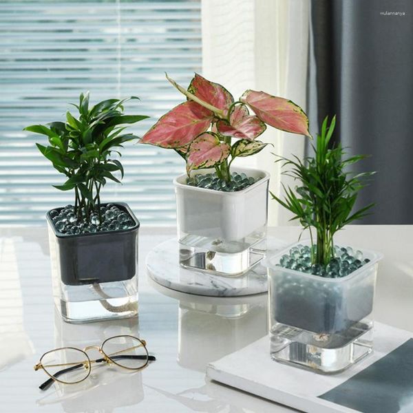 Vasen Tischpflanze Blumentopf Transparent Automatische Wasseraufnahme Quadratischer Blumentopf Behälter Ornamente Dekor für Zuhause