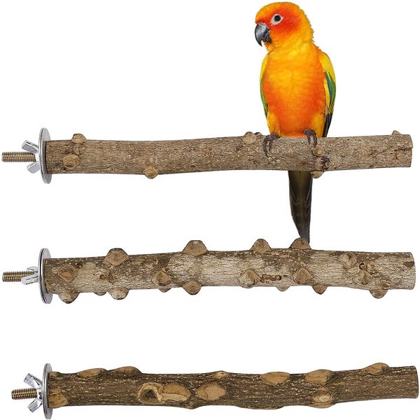 Poleiro de pássaro Nature Prickly Apple Wood Papagaio Pimenta Suporte de madeira Brinquedo Ramo Plataforma Paw Grind Stick para Pequenos Pássaros Médios Caturra Periquito Conure Gaiola Acessório