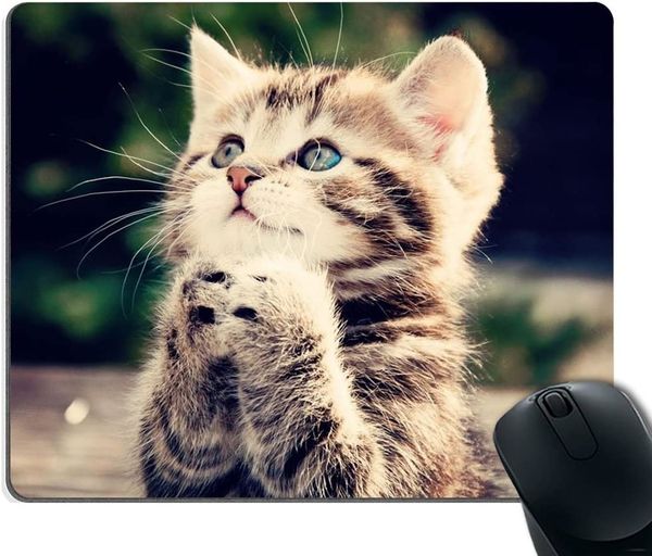 Милая кошка молятся уникальным дизайном Lovely Kitten Personality Pad