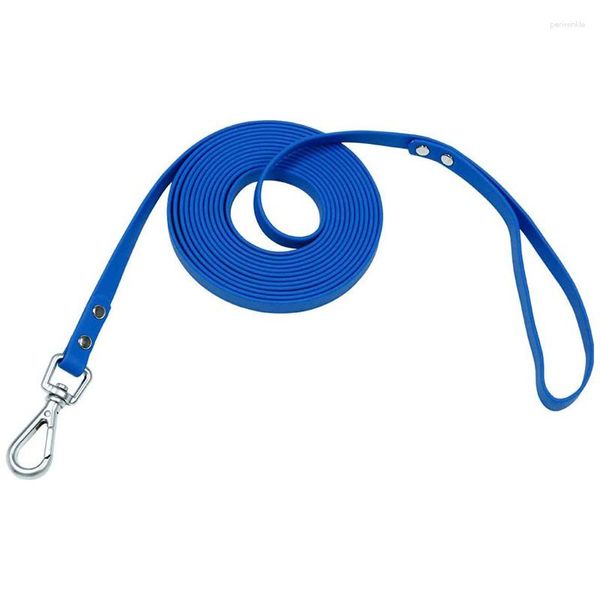 Hundehalsbänder, wasserdichte Leine, langlebiges Trainingsseil, lange Leine im Freien, 3 m, 5 m, 10 m, 15 m, ideal für Strand, Hof, Spielen, Camping