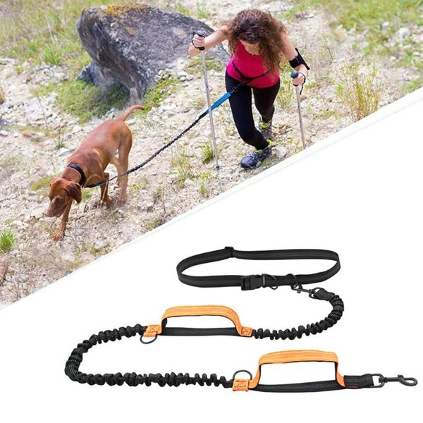 Ошейники для собак выдвижные руки бесплатный повод для бега двойной ручки эластичный шнур отражают большие домашние принадлежности Accesoires