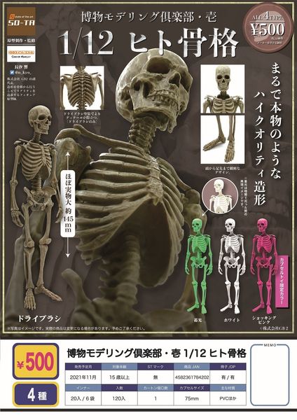 Слепая коробка Япония Sota Gashapon Capsule Toy Creative Model Coremer Bone Puppet ужас человеческий тело 230714