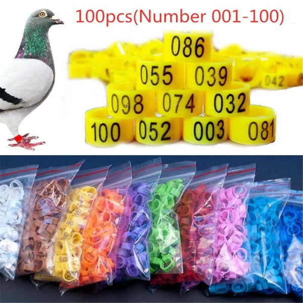 Outros suprimentos para animais de estimação 100 peças Anéis de pássaros Faixas de pernas para aves de papagaio Clipe número 1 100 230713