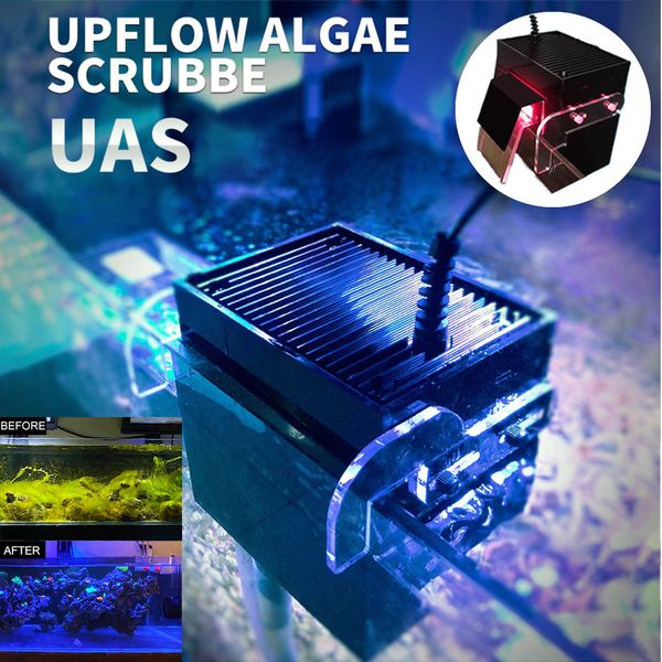Decorações UAS Externa Algas Box Marine Balance Water Quality Controlling Growth Mute Filter for Bedroom 230715