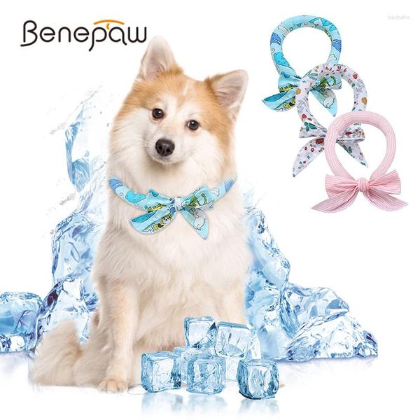 Hundehalsbänder Benepaw 3er-Pack kühlendes Halsband für den Sommer, atmungsaktiv, weich, bequem, für Welpen und Katzen, Eisschal, langlebig, sofort kühl, Haustier-Bandanas