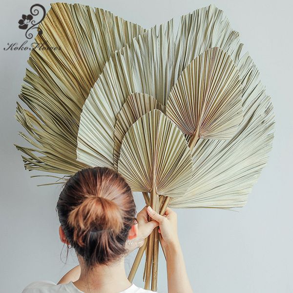 Faux Floral Greenery Koko Flower Natural Palm Leaf Dry Flowers Arch Casamento Home Fall Decor Window Reception Party Art Hanging Arrangement Fan Leaf 230714