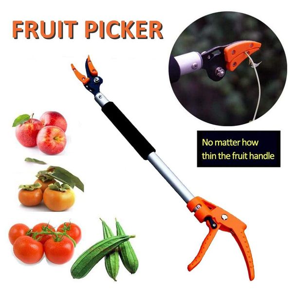 Attrezzi per potatura Raccoglitore di frutta Pinza Albero Taglierina lunga Catcher Pole Serra Giardinaggio Ramo alto Frutta Reacher Garden 230714