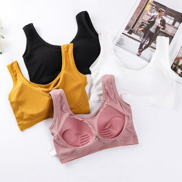 Roupa de ioga sutiã esportivo traseiro em forma de U para mulheres de algodão confortável colete de corrida fitness acolchoado sutiã push up feminino respirável