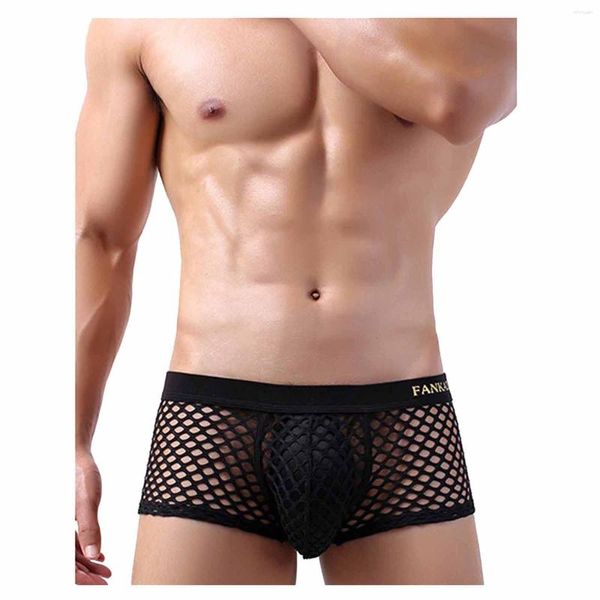 Cuecas Boxer Masculinas Malha Transparente Gay Cueca Transparente Rede Arrastão Transparente Tanga Hombre U Bolsa Convexa Cuecas Calzoncillos Calcinhas