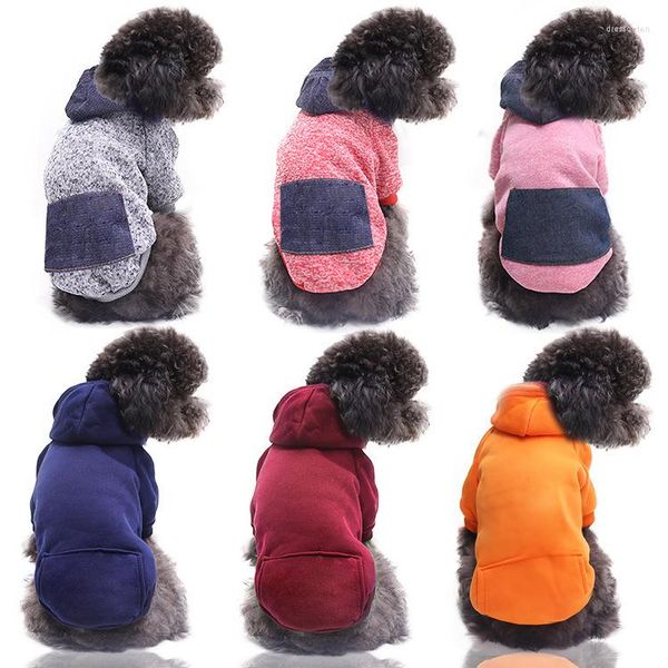 Hundebekleidung Haustier Herbst und Winter Warmes Sweatshirt Denim Tasche Zwei Fuß Kleidung Sport Wind Katze Hoodie