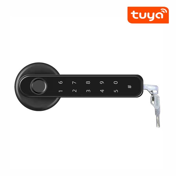 Serrature per porte Tuya APP Smart Fingerprint Password Single Deadbolt Lock per interni Usato 230715