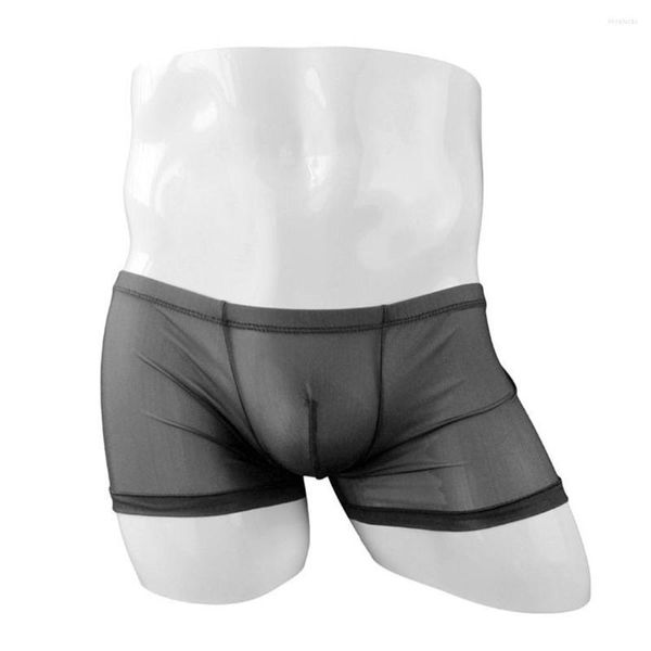 UNDUPTS Seksi Sheer Boxer Briefs Erkekler See-Through İç çamaşırı Erkek Nefes Alma Şeffaf Örgü Panties Bulge Tepe Dolapları