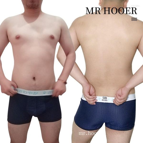 Underpants 2023 Ankunft Bear Claw Print Net Unterwäsche Plus Größe Herren -Mesh Boxer Gay Stolze Shorts White Navy Blue L xl xxl xxxl