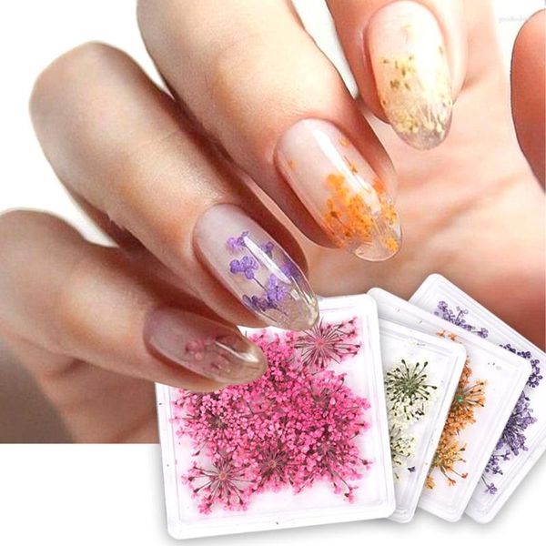 Nagelglitter 1 Box Natürliche Echte Trockene Blume Charme Aufkleber 3D Bunte Blütenblatt Slider Maniküre Gillter Elegante DIY Kunst Zubehör Werkzeuge JIS220