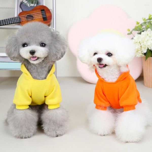 Abbigliamento per cani Maglione per animali domestici Elegante giubbotto anticaduta con stampa inglese di frutta