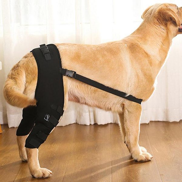 Köpek araba koltuğu kapsar Pet yavrusu diz pedleri küçük orta büyük köpekler için bacak dişleri ayarlanabilir destek brace yaralanma eklem sargısı kurtarma koruyucusu