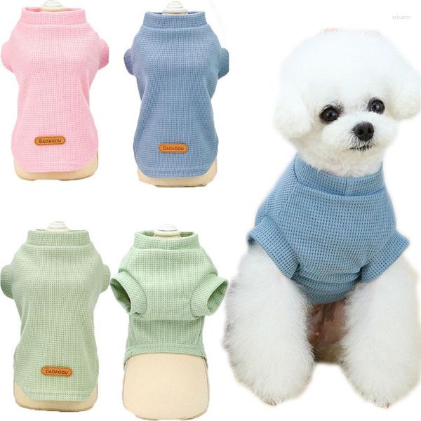 Abbigliamento per cani Maglia con cappuccio per gatti Maglietta estiva a maniche corte Abbigliamento per animali Felpa per cuccioli Camicia per cani di piccola taglia Abbigliamento per chihuahua XXL