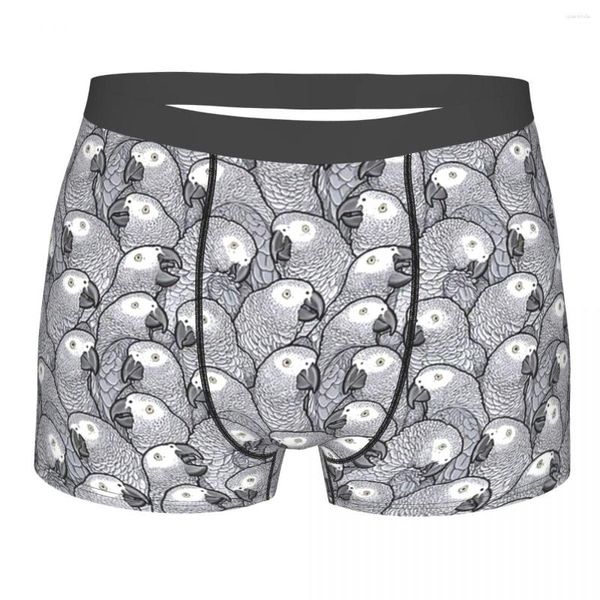 Cuecas African Grey Parrots Breathbale Calcinha Cueca Masculina Cueca Boxer Estampada