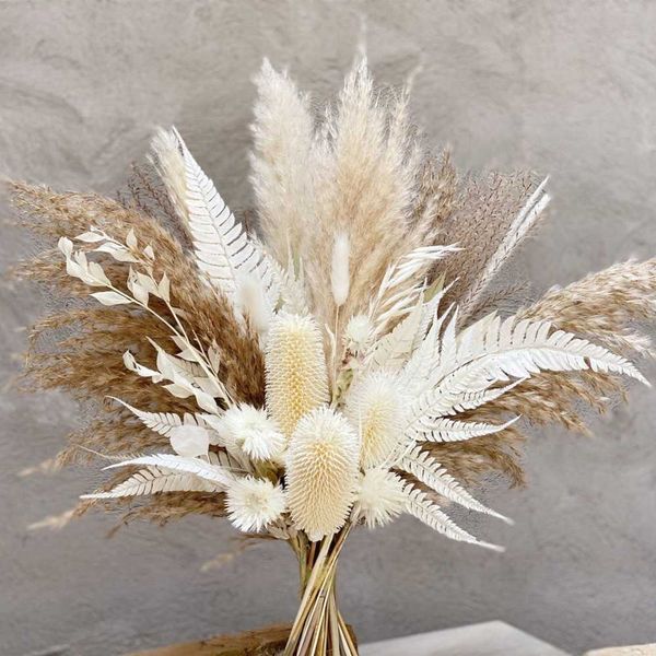 Hot Natural Boho Home Decor Centrotavola per matrimoni Regali per gli ospiti Piante secche Arrangiamenti Bouquet Pampas Erba Fiori secchi