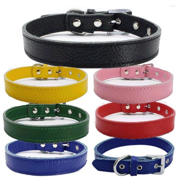 Collari per cani Prodotto per animali domestici Collare in pelle morbida Cinturino regolabile per guinzaglio per collana per cuccioli di gatto piccolo per forniture a 6 colori piccole, medie e grandi