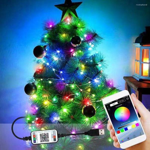 Strings USB LED String Light App Compatível com Bluetooth Endereçável WS2812B SK6812 IC Pixels Luzes de fada para árvore de Natal 10m 20m