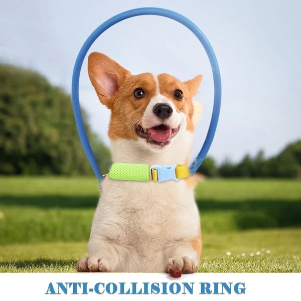 Coleiras para cães coleiras cegas para animais de estimação anti-colisão cinto de auréola de segurança usado para desastres de escorpião anel de proteção animal suprimentos para cães-guia 230719