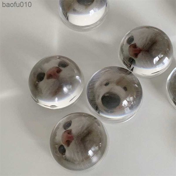 Gato cão bola de cristal novo suporte de telefone móvel suporte de expansão bonito suporte de dedo para iphone huawei acessórios de telefone aperto l230619