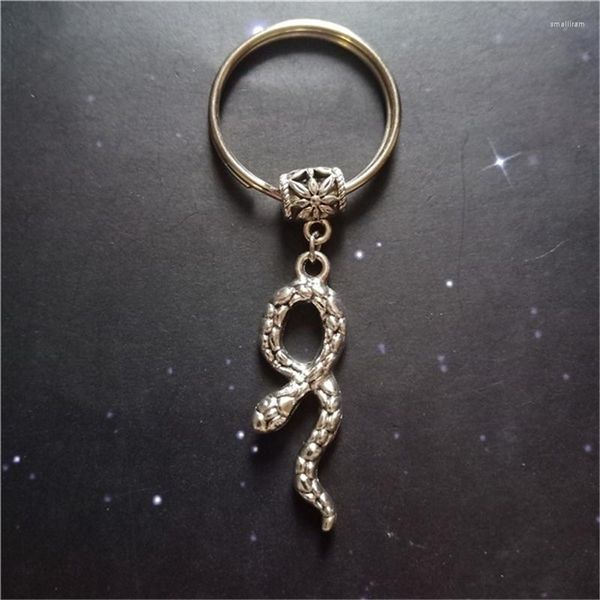 Клавные змеи для ключей Клавики Керинг животных Теория животных Античный серебряный цвет крошечный шарм страшный подарок