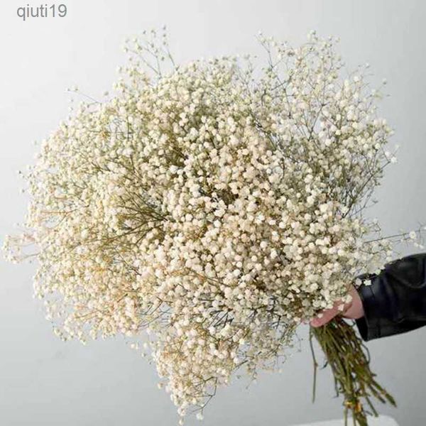 Getrocknete Blumen, natürlich, frisch, Schleierkraut, getrocknete, konservierte Blumen, Gypsophila paniculata, Blumensträuße für Hochzeitsdekoration, Valentinstagsgeschenk R230720